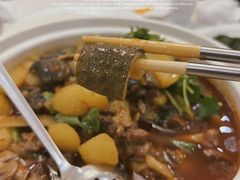 -高坎一品甲鱼庄(两河店)