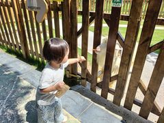 -成都欢乐谷