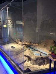 -未来动物城动物主题公园(大悦城店)