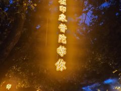 -印象普陀
