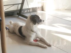 -平行世界·猫咖(首经贸店)