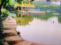 -晓港公园