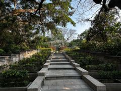 -九龙公园