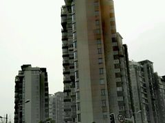 -新江湾城公园