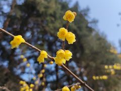 -月坛公园