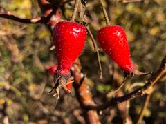 -灵山