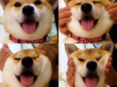 -东方好莱坞(文化路店)