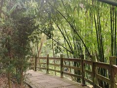 -凤栖山