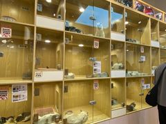 -屋虎猫馆(宝安大仟里店)