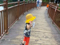 -重庆彩云湖湿地公园