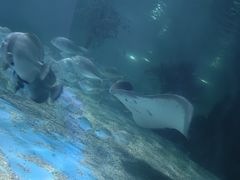 -常州海昌海洋探索馆