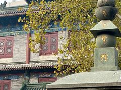 -天龙宝严素食馆(大兴善寺店)