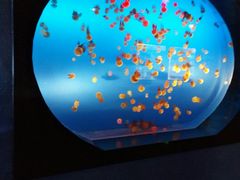 -梦幻海洋王国(吾悦广场张家港店)