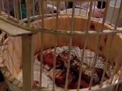 -胡桃里音乐酒馆(环亚凯瑟琳广场店)