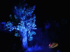 -婺源梦里老家大型山水实景演出