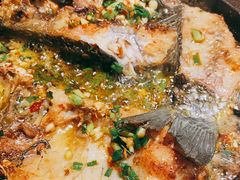 -聚鑫朋酸菜肥肠(文艺路口店)
