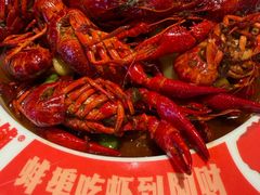 -阿财老铺·老蚌埠龙虾城(华夏总店)