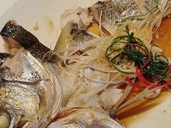 -海派美食·家宴海鲜青岛菜·石锅鲽鱼头(东方城店)