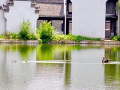 -台儿庄古城
