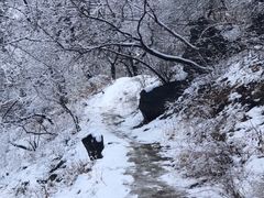 -香山公园