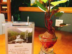 -十二舍·湯物素煮(江泰潤政店)