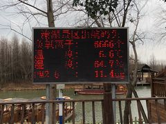 -溱湖国家湿地公园