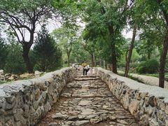 -阳台山自然风景区