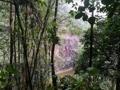 -水濂山森林公园