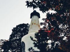 -大觉寺-停车场