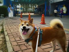 -太平洋海底世界