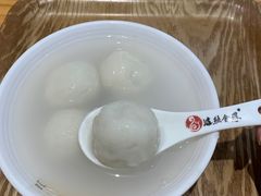 -海丝金凤(金鱼店)