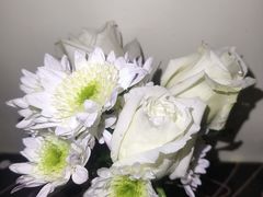 -循礼门鲜花花市(武汉循礼门店)