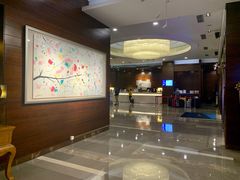 -北京望京华彩智选假日酒店