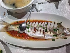 豉油蒸白水鱼-金美华轩(东方路齐鲁店)