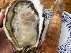 冰镇生蚝-蚝得喜海鲜(东城店)