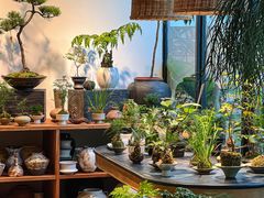 -自由生长植物工作室(深港花卉中心店)
