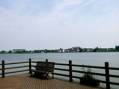 -鹅湖玫瑰文化园