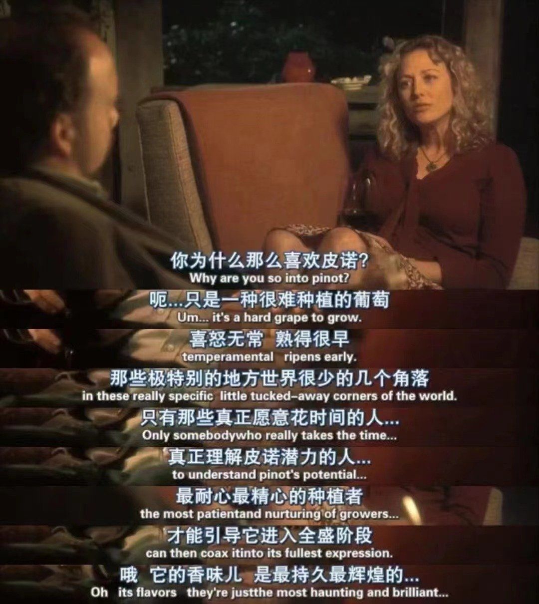 电影《杯酒人生》同款黑皮诺,美国大名庄"