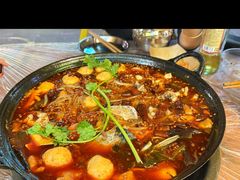 -鸿顺老铁锅美蛙鱼府(解放碑店)