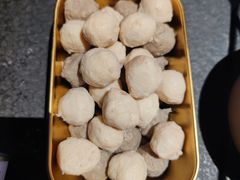 -Darling Queen·Mini·Live·House