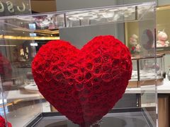 -ROSEONLY诺誓(磐基中心店)