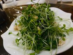 鲜核香椿苗-燕风楼烤鸭店(建设总店)
