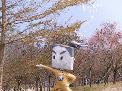 -天适樱花悠乐园