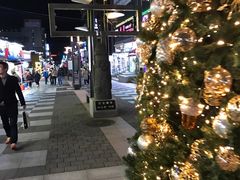 -宝健路步行街(Pedestrian Shopping Street)