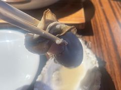 -蚝堡海鲜·威海菜·海肠捞饭·烧烤·亚洲吃蚝公司(幸福门店)