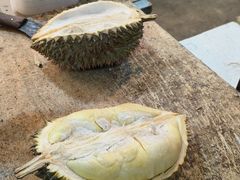 -油麻地果栏