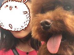 -PETKIT小佩宠物(古北店)