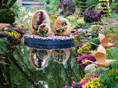 -上海共青森林公园