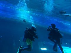 -华夏文旅海洋公园