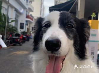 一家开在天涯小镇白龙街西一街的饮品店